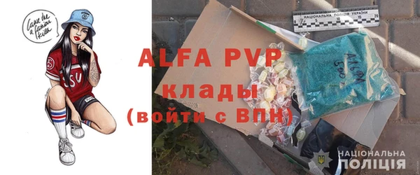 шишки Беломорск