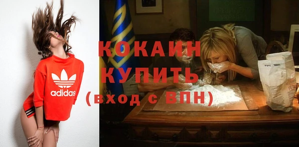 шишки Беломорск