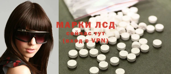 шишки Беломорск