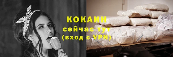 ПСИЛОЦИБИНОВЫЕ ГРИБЫ Белокуриха