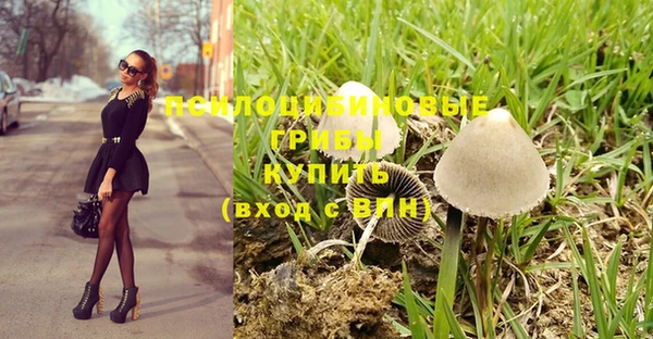 шишки Беломорск