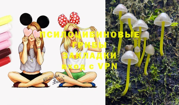 шишки Беломорск
